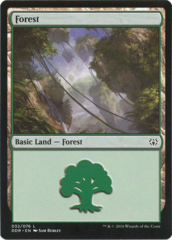 Forest (32)